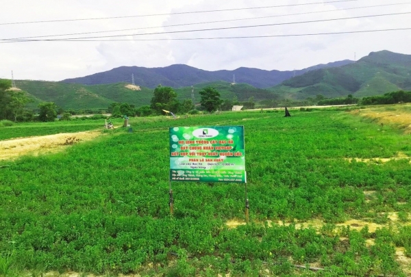 Vùng nguyên liệu