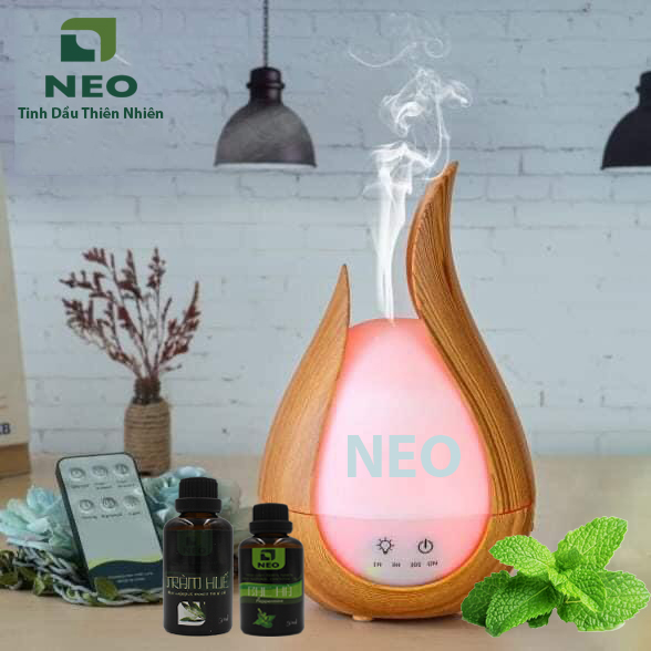 CÔNG TY CỔ PHẦN ĐẦU TƯ PHÁT TRIỂN CÔNG THÀNH  