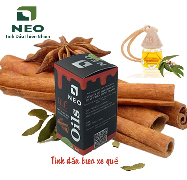 CÔNG TY CỔ PHẦN ĐẦU TƯ PHÁT TRIỂN CÔNG THÀNH  