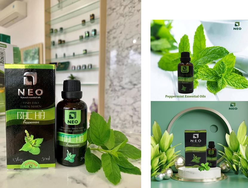 Tinh dầu Bạc hà nguyên chất chuẩn VietGAP