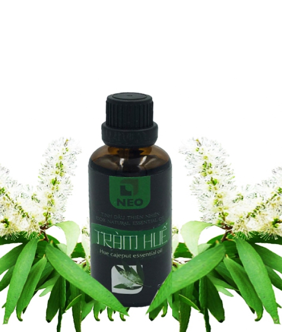 Công dụng của tinh dầu tràm Huế
