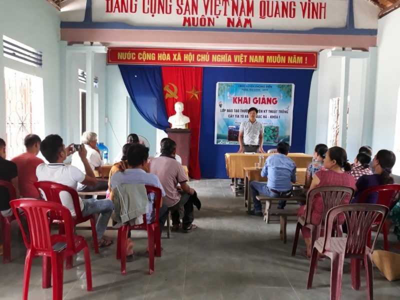 Đào tạo Kỹ thuật viên trồng cây dược liệu