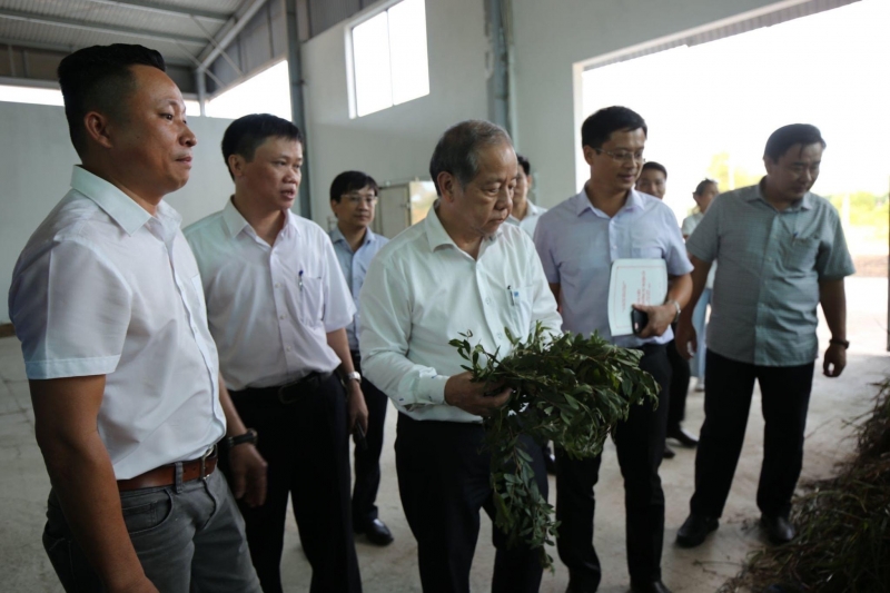 Một số hình ảnh nổi bật - tiêu biểu